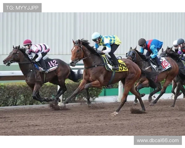 如何在HKJC香港赛马中提升你的投注技巧与策略